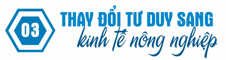 Chuyển đổi số trên cánh đồng ảnh 11