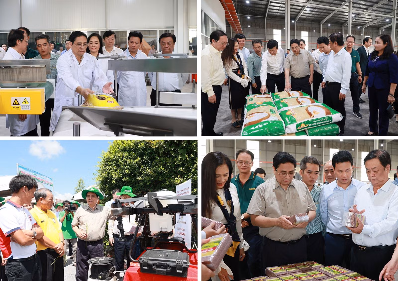 Thủ tướng Phạm Minh Chính thăm mô hình nông nghiệp công nghệ cao tại Đồng Tháp.