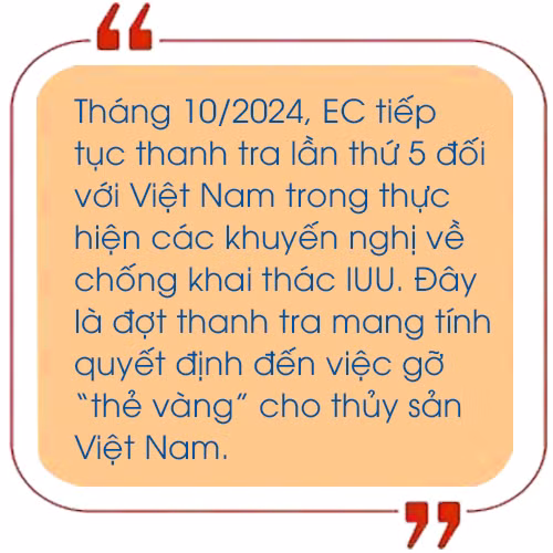 Gỡ 'thẻ vàng', giành 'thẻ xanh' ảnh 7