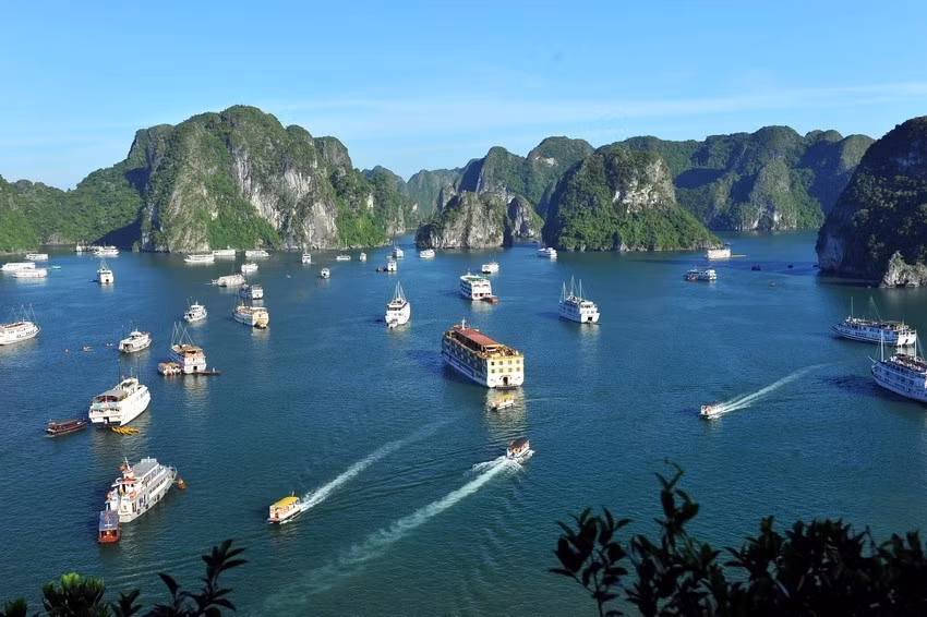 Tàu thuyền đưa khách tham quan vịnh Hạ Long.