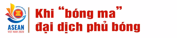 Việt Nam cùng ASEAN chủ động phòng, chống COVID-19 ảnh 1