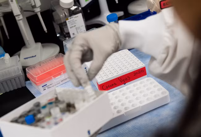 Có thể còn những bí ẩn về gien với virus SARS-CoV-2.