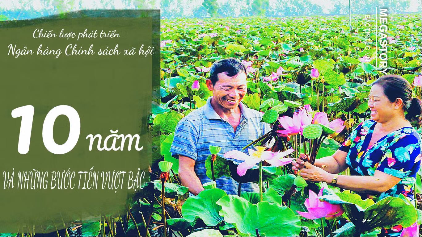 Chiến lược phát triển Ngân hàng Chính sách xã hội giai đoạn 2011-2020: 10 năm và những bước tiến vượt bậc