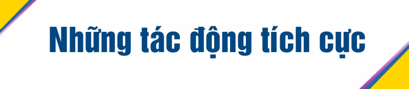Thênh thang 'cao tốc' FTA ảnh 6