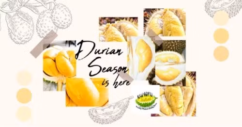 Kungfu Durian sẽ đáp ứng mọi nhu cầu của khách hàng Singapore trong mùa sầu riêng năm nay ảnh 1