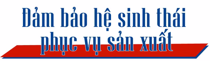 Bảo vệ, mở rộng ‘vùng xanh’ sản xuất ảnh 16