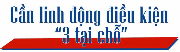Bảo vệ, mở rộng ‘vùng xanh’ sản xuất ảnh 11
