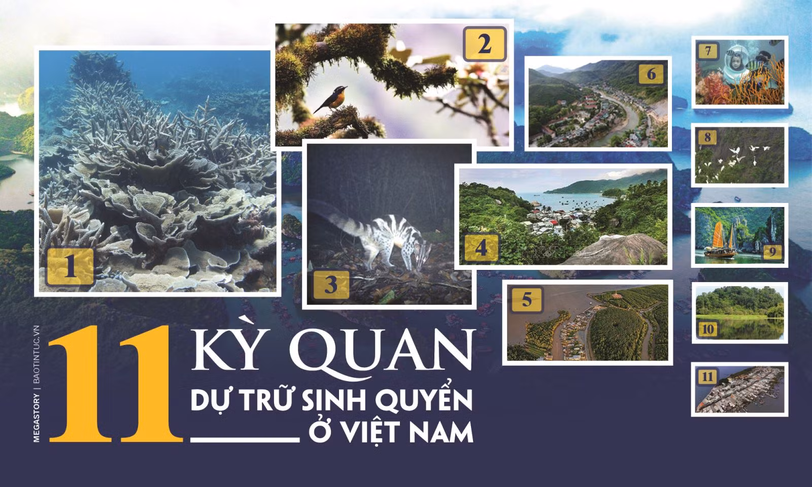 11 'kỳ quan' dự trữ sinh quyển ở Việt Nam