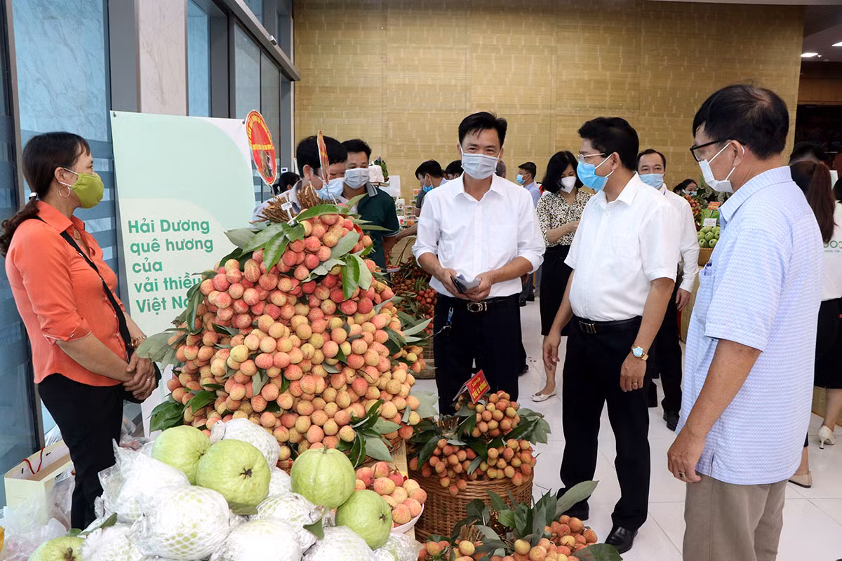 Lãnh đạo tỉnh Hải Dương giới thiệu các sản phẩm nông nghiệp tiêu biểu của tỉnh cho các vị khách, doanh nghiệp trong và ngoài nước.