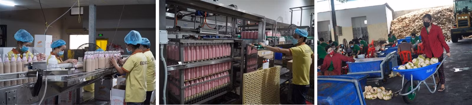 Hoạt động sản xuất, kinh doanh của các doanh nghiệp tại Bến Tre từng bước khôi phục.