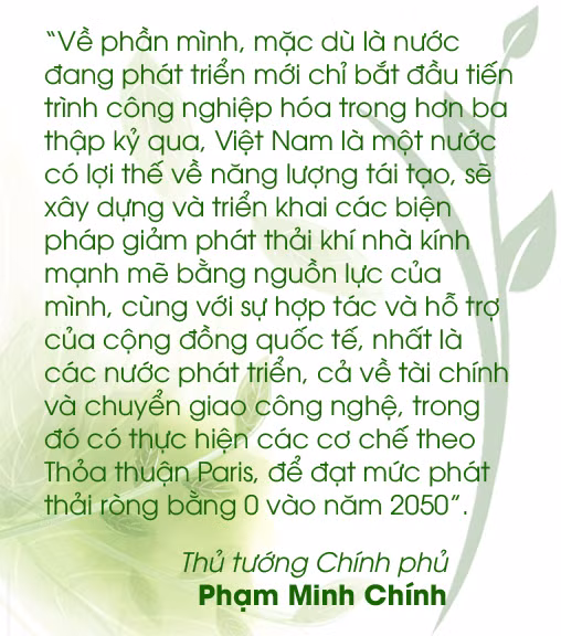 Vì một hành tinh Xanh ảnh 17