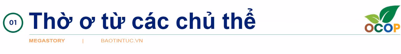 Xóa 'điểm nghẽn' OCOP ảnh 1