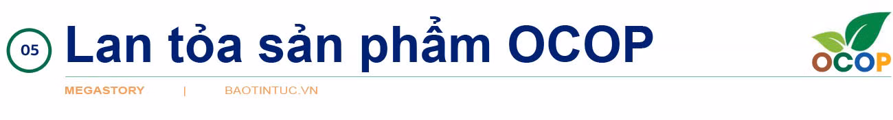 Xóa 'điểm nghẽn' OCOP ảnh 25