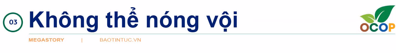 Xóa 'điểm nghẽn' OCOP ảnh 15