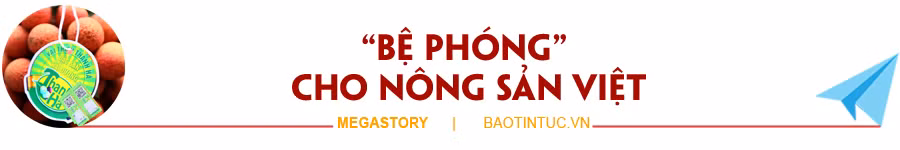 Vải thiều và hành trình 'vượt bão' của nông sản Việt ảnh 12