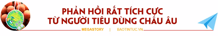 Vải thiều và hành trình 'vượt bão' của nông sản Việt ảnh 1