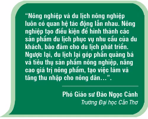 Phát triển du lịch nông nghiệp vùng đất 'Chín Rồng' ảnh 9