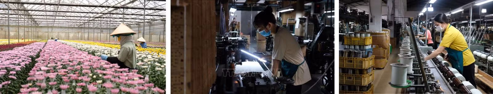 Các doanh nghiệp tại Lâm Đồng “gồng mình” duy trì hoạt động để kịp đáp ứng các đơn hàng cho giai đoạn cao điểm cuối năm.