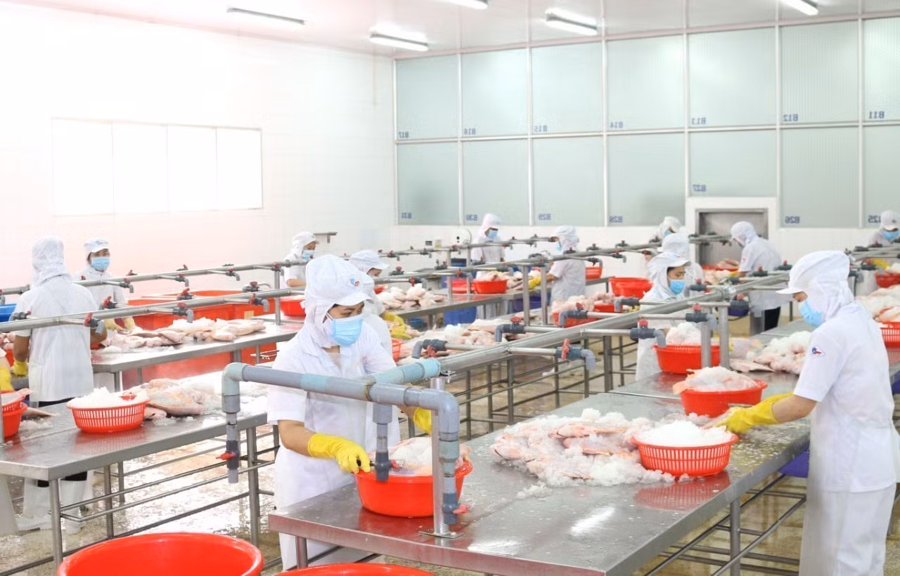 Thực hiện giãn cách trong khu vực chế biến thủy sản của công ty APT.