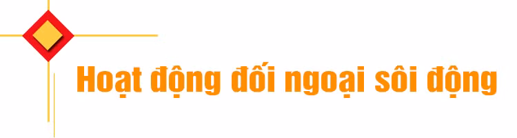 Triển khai hiệu quả đường lối đối ngoại Đại hội XIII của Đảng ảnh 6