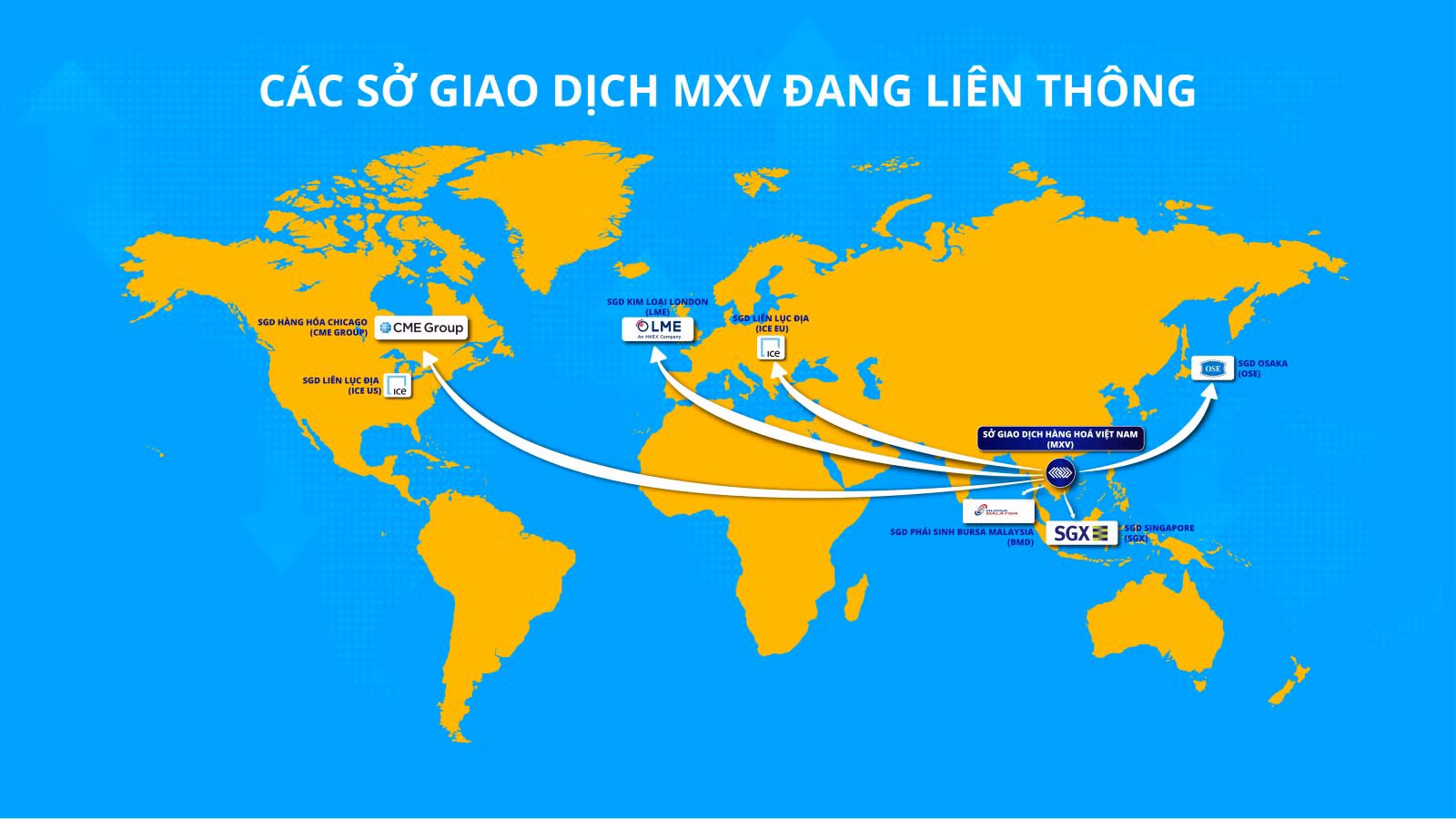 Thị trường giao dịch hàng hóa tại Việt Nam: 13 năm mang nhiều dấu ấn ảnh 11
