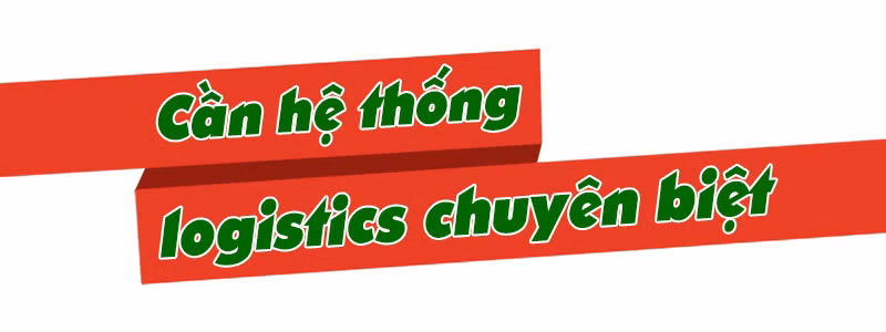Gỡ 'nút thắt' logistics cho nông sản ảnh 1