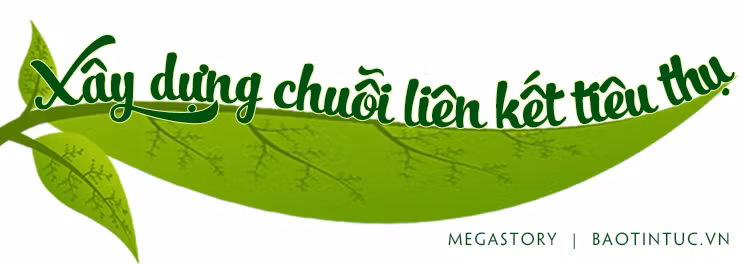 Phát triển bền vững cây sầu riêng ảnh 9