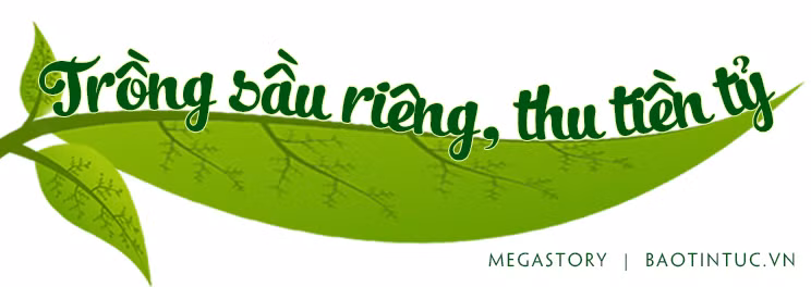 Phát triển bền vững cây sầu riêng ảnh 1