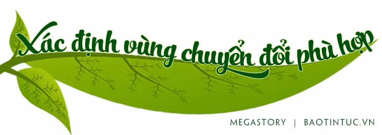 Phát triển bền vững cây sầu riêng ảnh 6