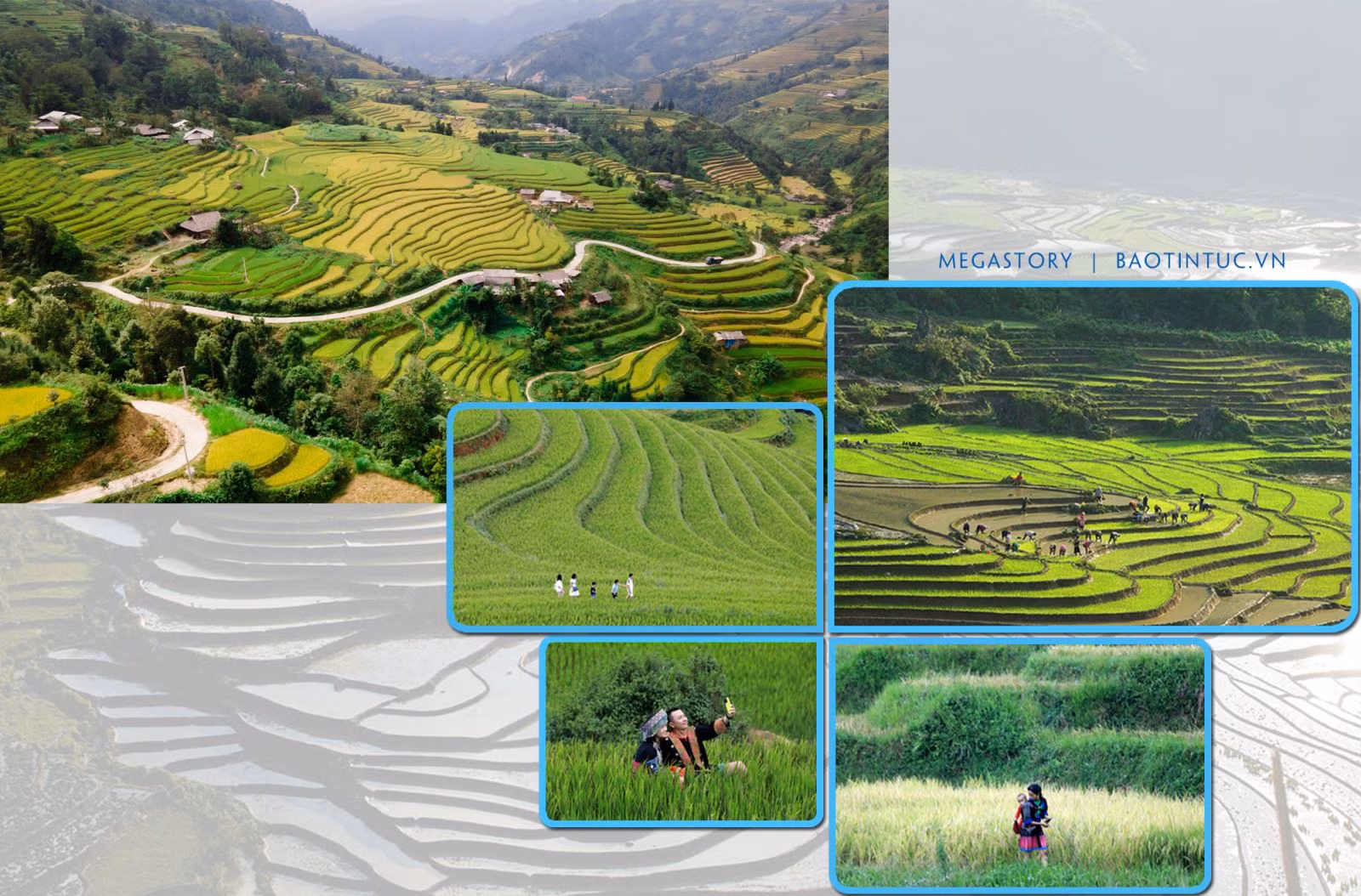 Ruộng bậc thang vào mùa nào cũng rất đẹp, luôn là điểm đến thu hút du khách trong nước và quốc tế.