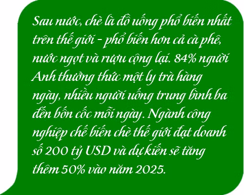 Tăng giá trị chè Việt Nam ảnh 4