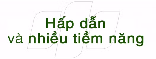 Quản lý tour mạo hiểm ảnh 1
