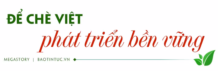 Tăng giá trị chè Việt Nam ảnh 7