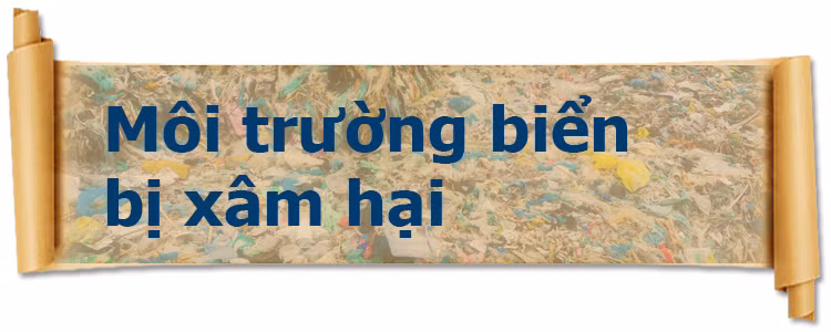 Đẩy lùi rác thải nhựa ảnh 1