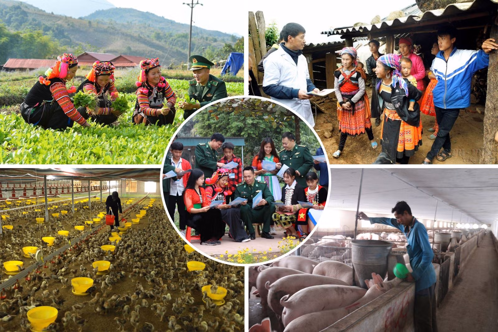 Cùng với sự phát triển của kinh tế - xã hội, đời sống của người dân cũng được nâng cao.
