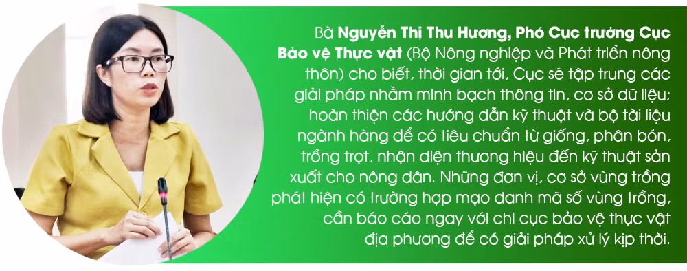 Để sầu riêng thành niềm vui chung ảnh 7