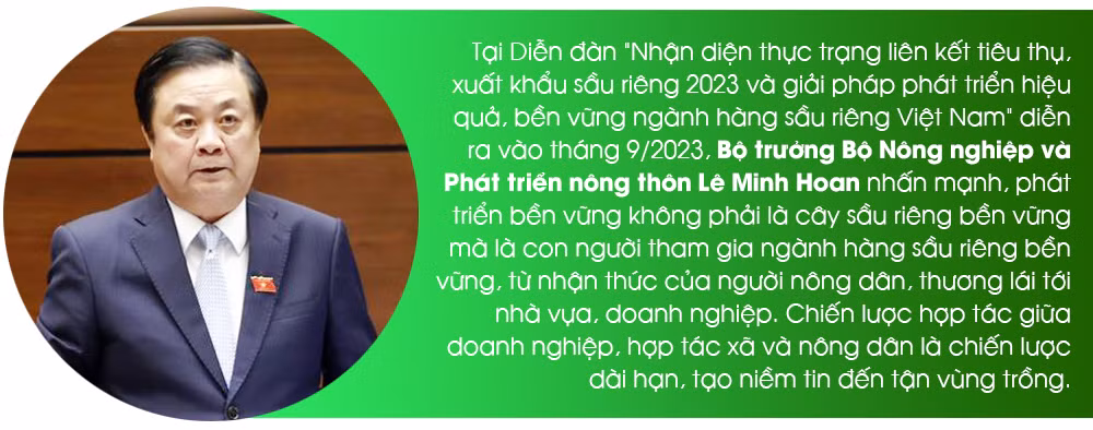 Để sầu riêng thành niềm vui chung ảnh 11