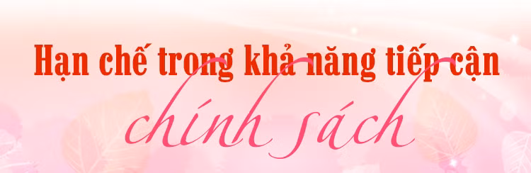 Thêm sinh kế cho phụ nữ yếu thế ảnh 1