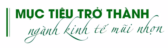 Đưa du lịch Việt Nam cất cánh ảnh 4