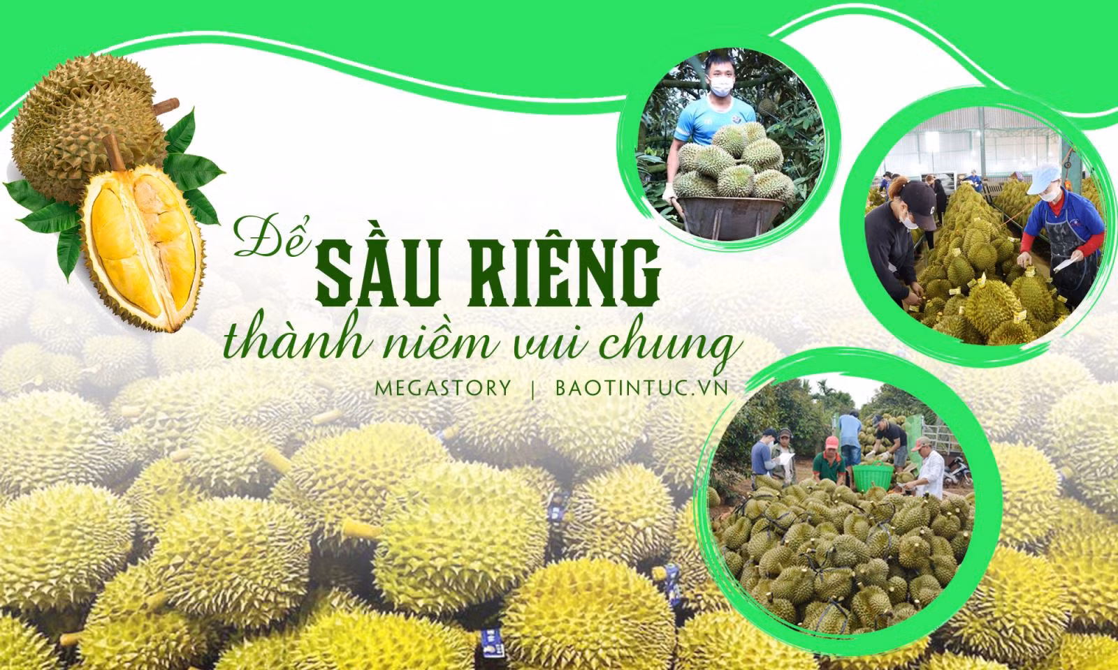 Để sầu riêng thành niềm vui chung
