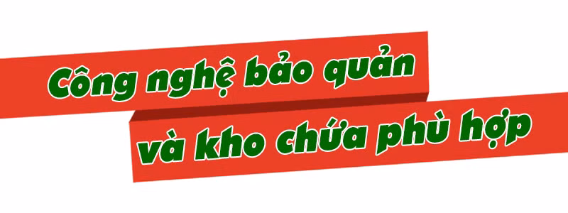 Gỡ 'nút thắt' logistics cho nông sản ảnh 4