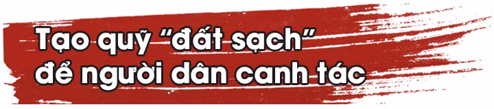 Hồi sinh những vùng 'đất chết' ảnh 9