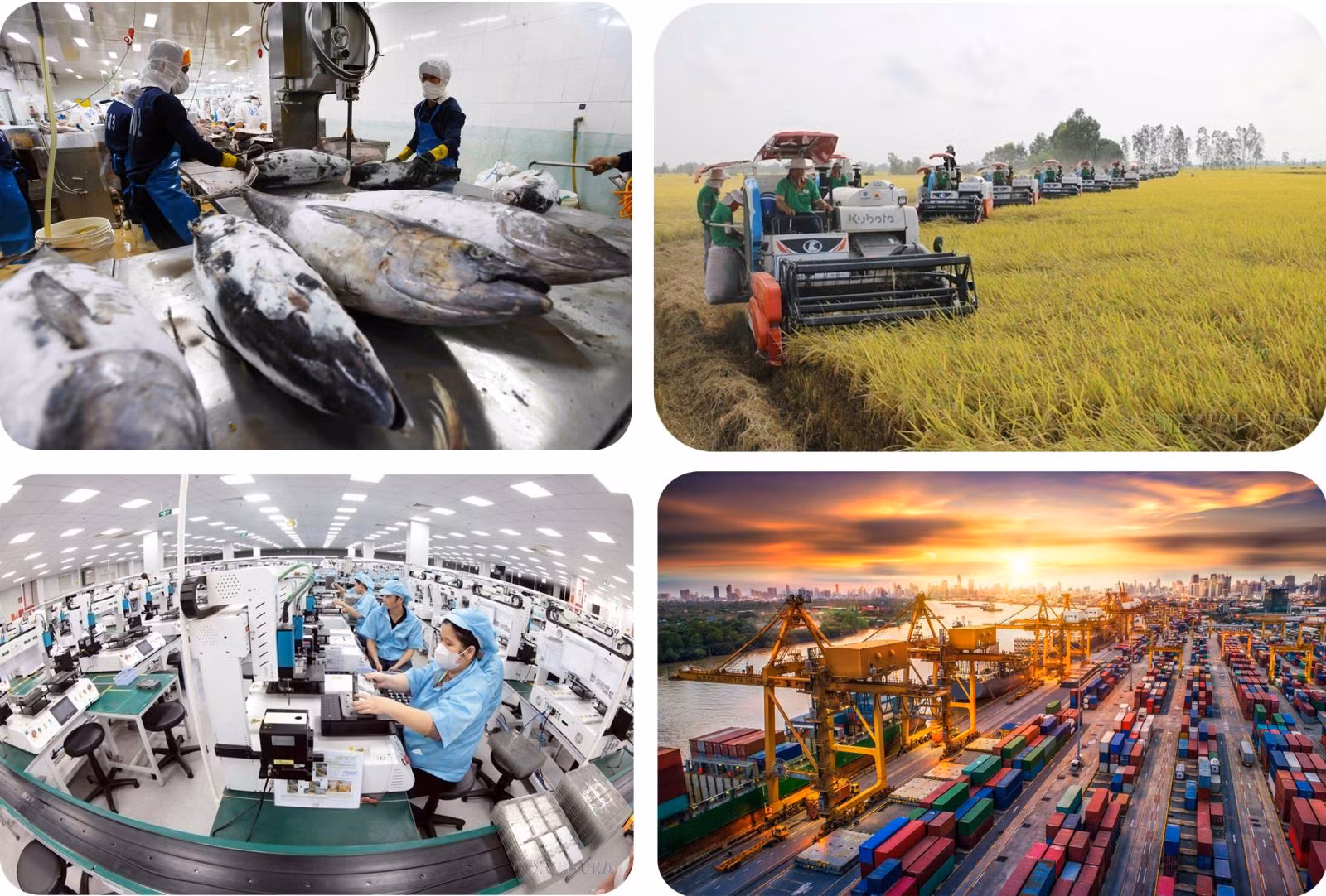 Hoàn thiện thể chế, pháp luật nhằm giải phóng toàn bộ sức sản xuất, khơi thông mọi nguồn lực, phát huy mọi tiềm năng, thế mạnh của đất nước, tận dụng mọi cơ hội phát triển.