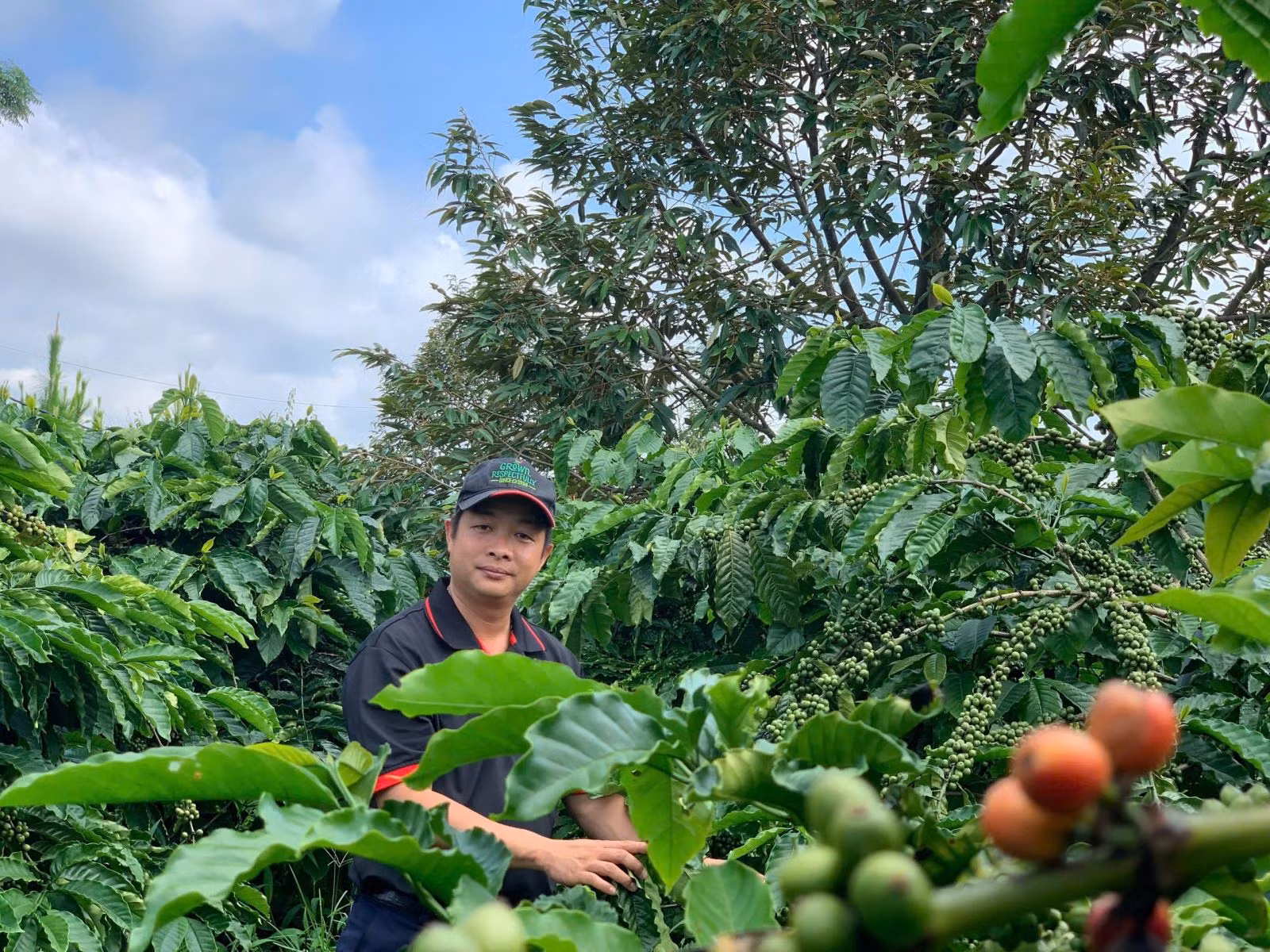 Anh Đào Duy Quỳnh thôn Thanh Hà 1 (xã Gia Rông, Gia Lai) với thành quả vườn cà phê xen canh sầu riêng, canh tác theo hướng nông nghiệp tái sinh và áp dụng công nghệ đã cho thu nhập cao.