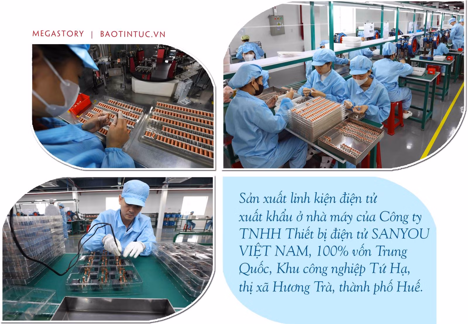 50 năm đất nước nở hoa ảnh 4