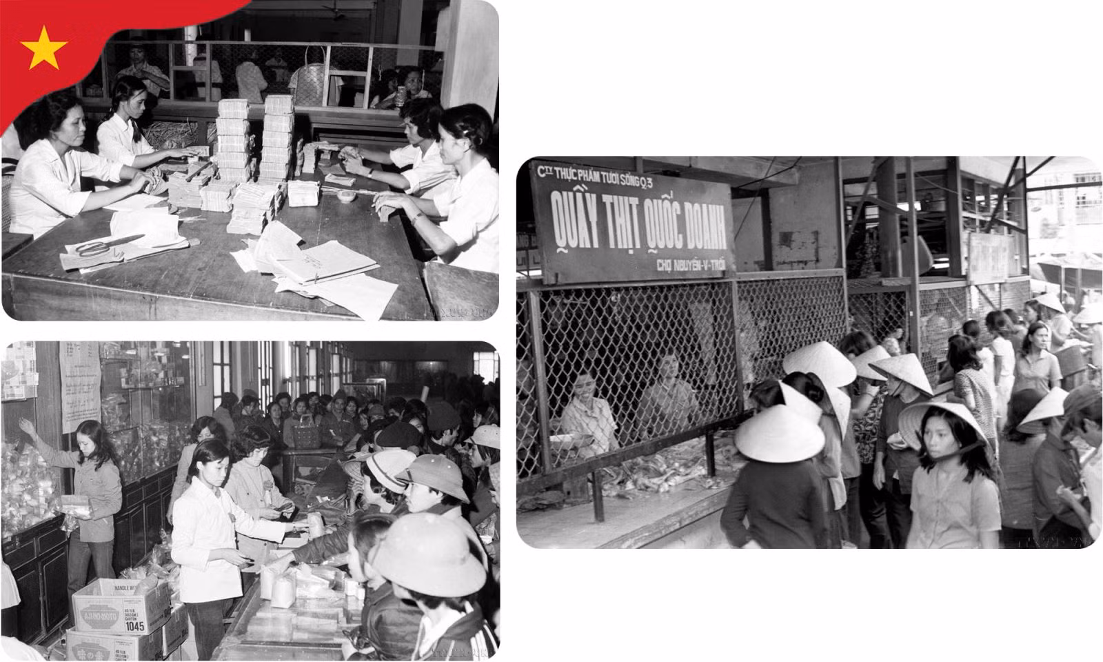 Trước năm 1986, nền kinh tế Việt Nam là nền kinh tế có hai hình thức sở hữu, hai loại hình kinh tế chủ yếu là xí nghiệp quốc doanh và tập thể.