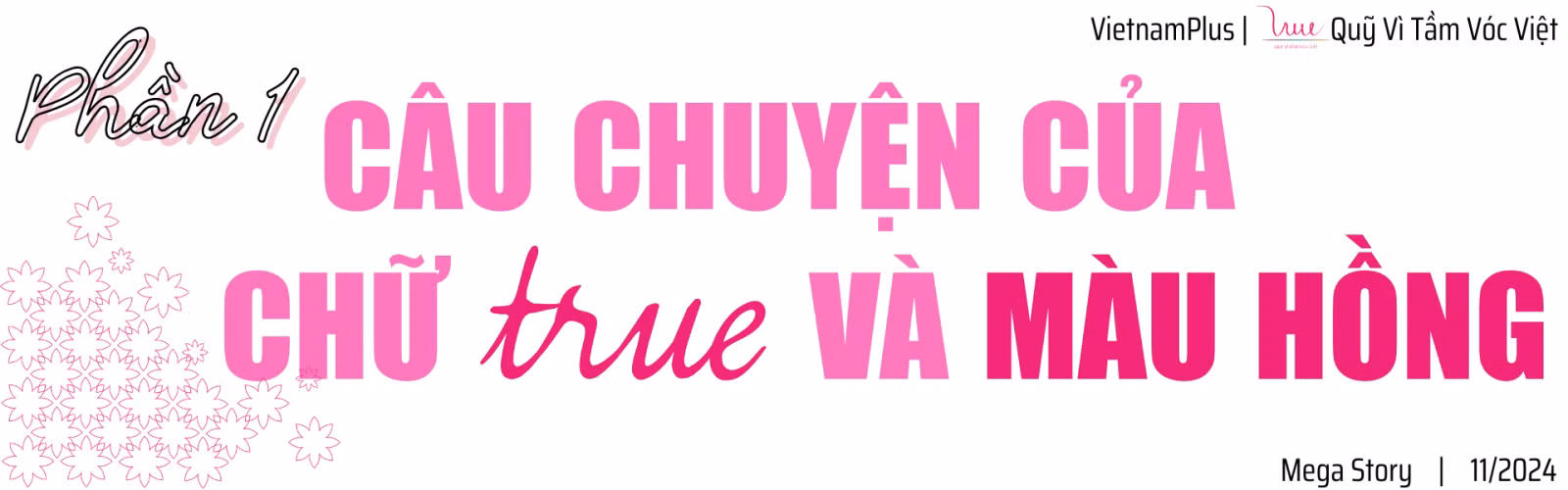 Quỹ Vì Tầm Vóc Việt: Hành trình 10 năm thấu hiểu, yêu thương và hành động kiến tạo sự thay đổi ảnh 1