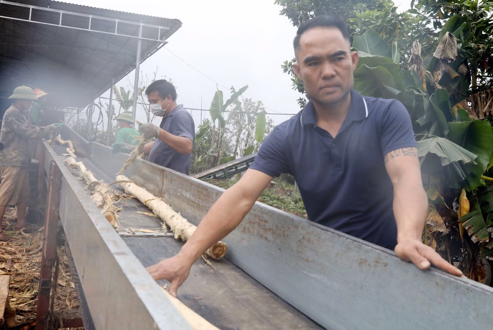 Anh Lê Thế Phong, thôn Trung Thành, xã Lương Sơn, huyện Thường Xuân (Thanh Hóa) nghỉ việc nhà nước sau 13 năm làm giáo viên, năm 2020 ra ngoài xây dựng cơ sở băm dăm keo đã bước đầu thành công.