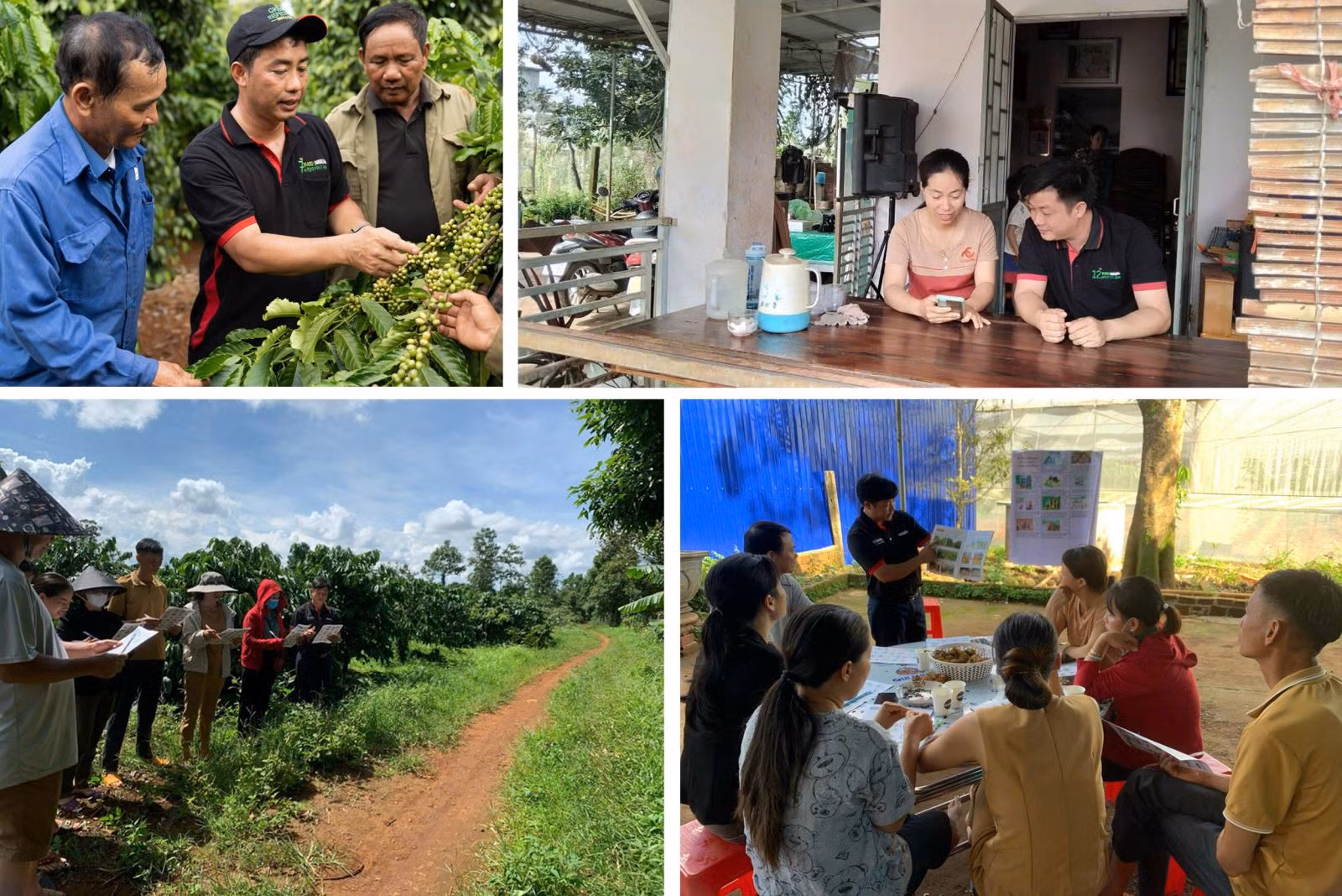 Anh Đào Duy Quỳnh chia sẻ kinh nghiệm nông nghiệp tái sinh cho bà con.