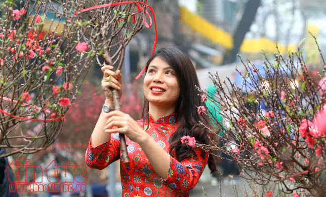 Một mùa xuân mới đang về. Ảnh: Lê Phú/Báo Tin tức